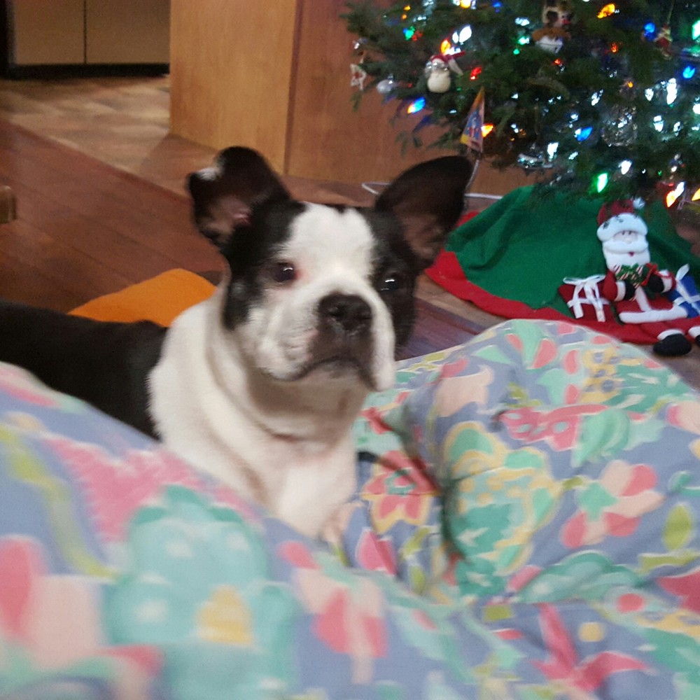 Meet your Posher, Lexie